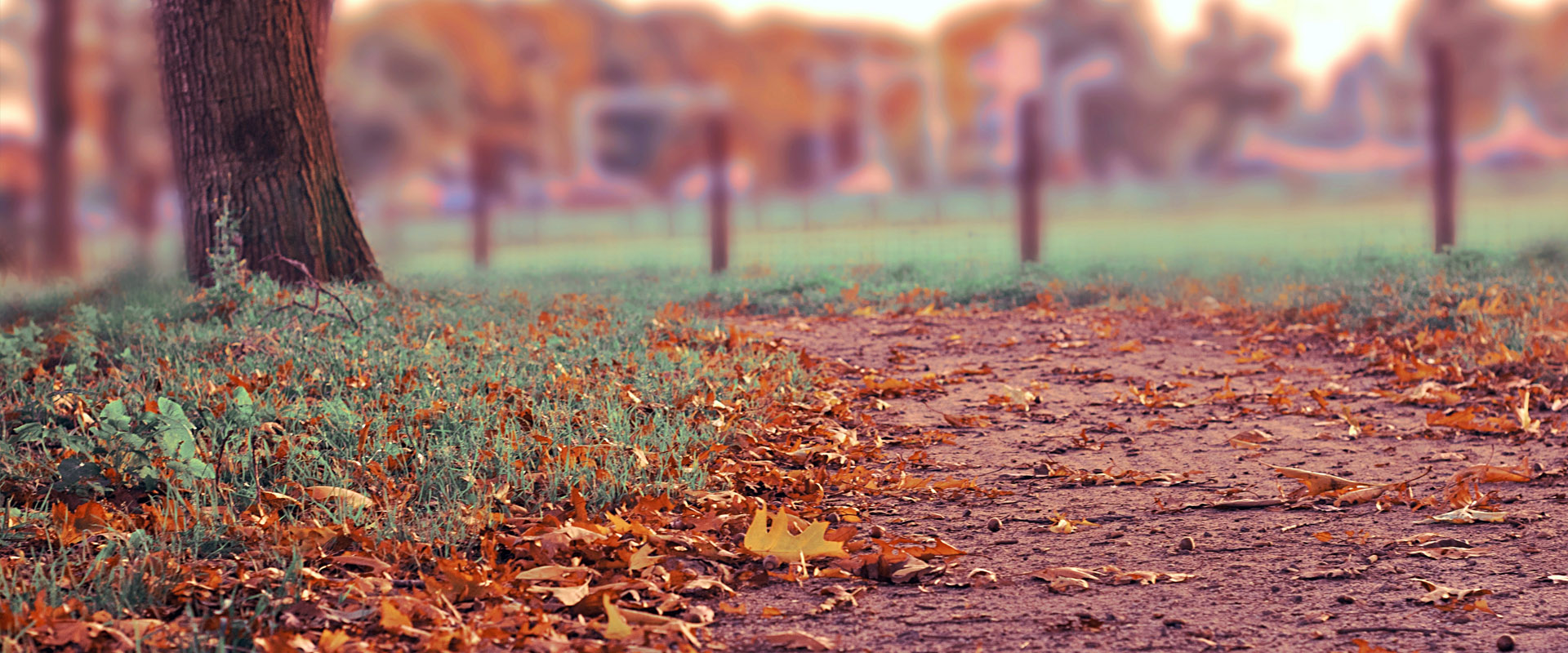 手机号轰炸在线