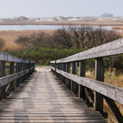 手机号轰炸在线