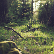 接码短信社区平台